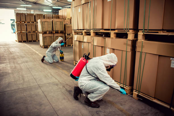 Best Flea Control Services  in Dove Valley, CO