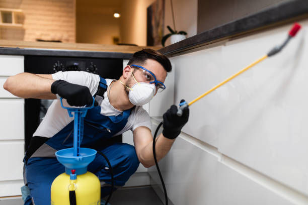 Best Bed Bug Extermination  in Dove Valley, CO
