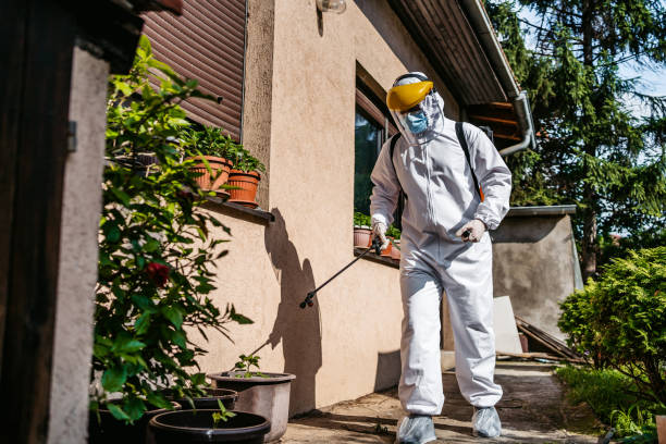 Best Best Pest Control Companies  in Dove Valley, CO