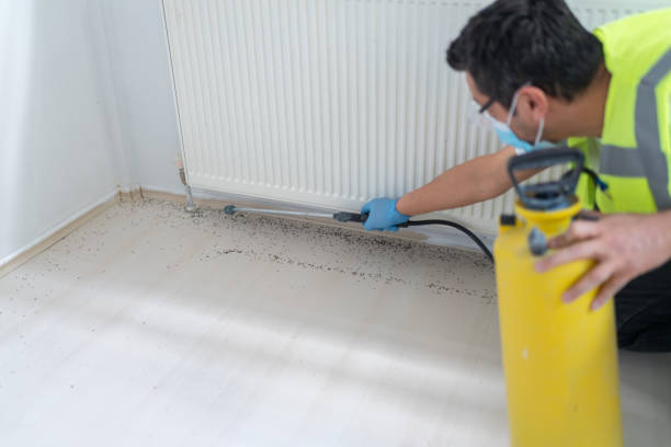Best Pest Control for Businesses  in Dove Valley, CO