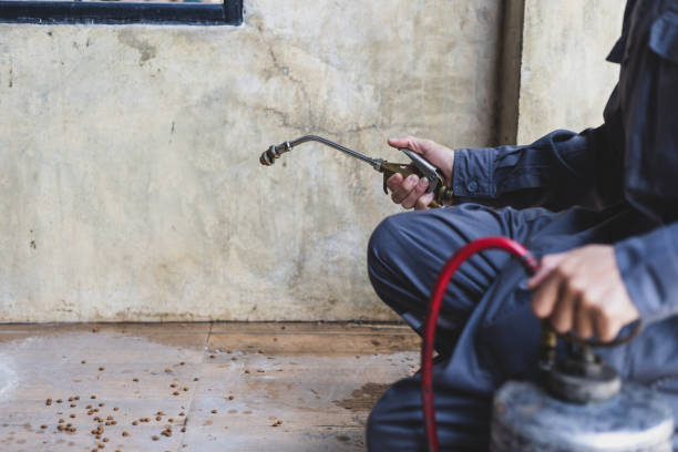 Best Pest Removal Services  in Dove Valley, CO